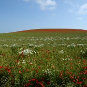 2013-07-09 09-38-55 1